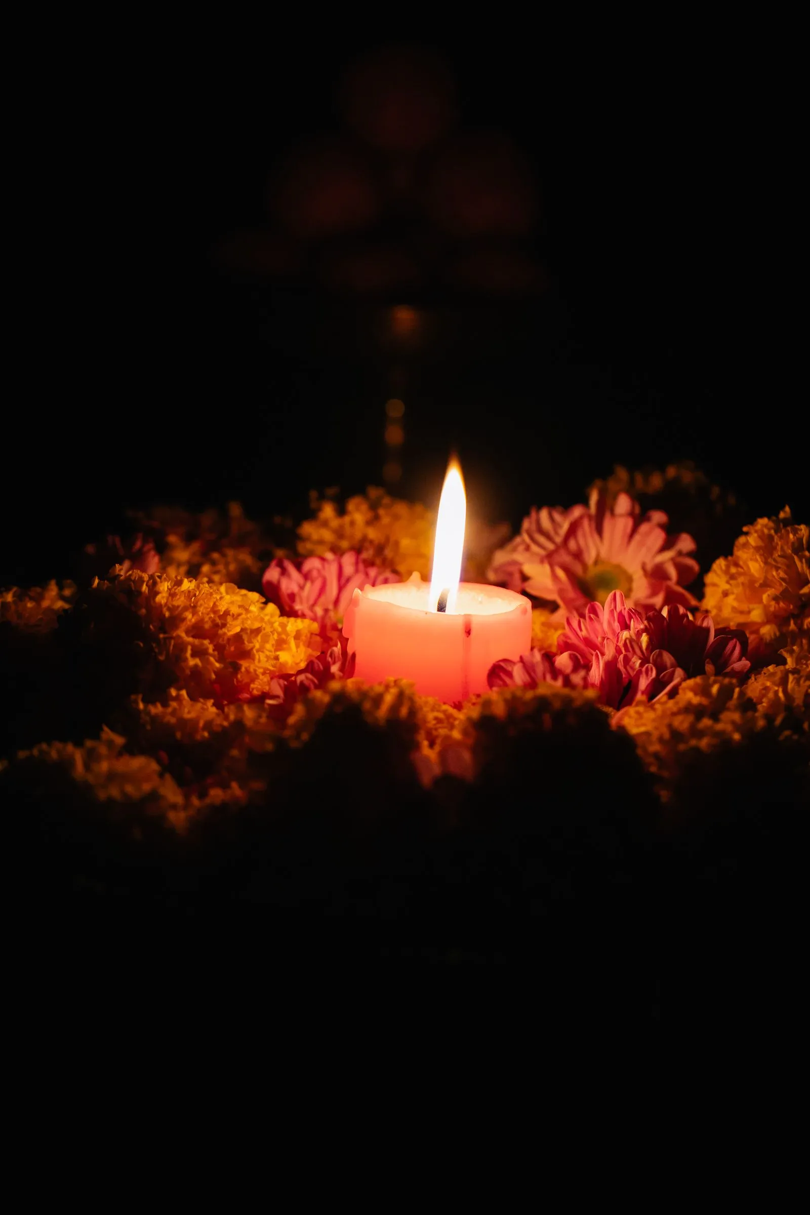 Ambiance recueillie lors d'une cérémonie d'hommage dans la région lilloise